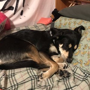 Meet your Posher, Julie